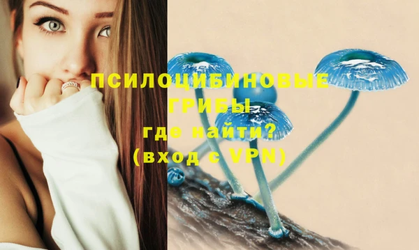 мефедрон Зеленодольск